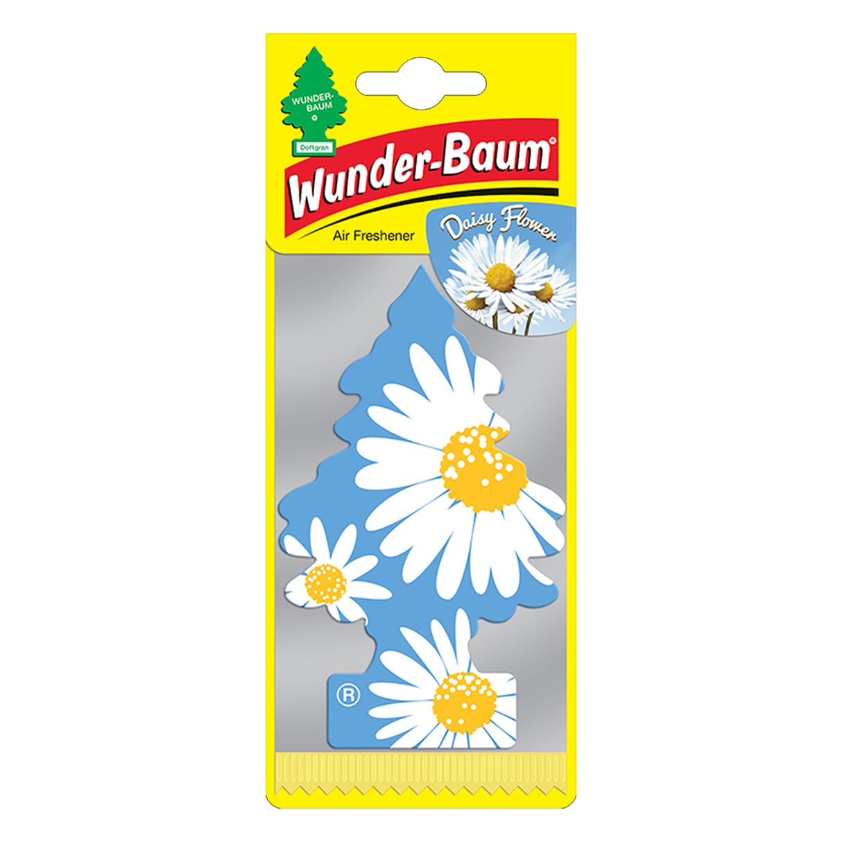 WUNDER-BAUM DAISY FLOWER
