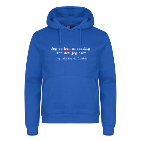 Sagt & Forstått - hettegenser